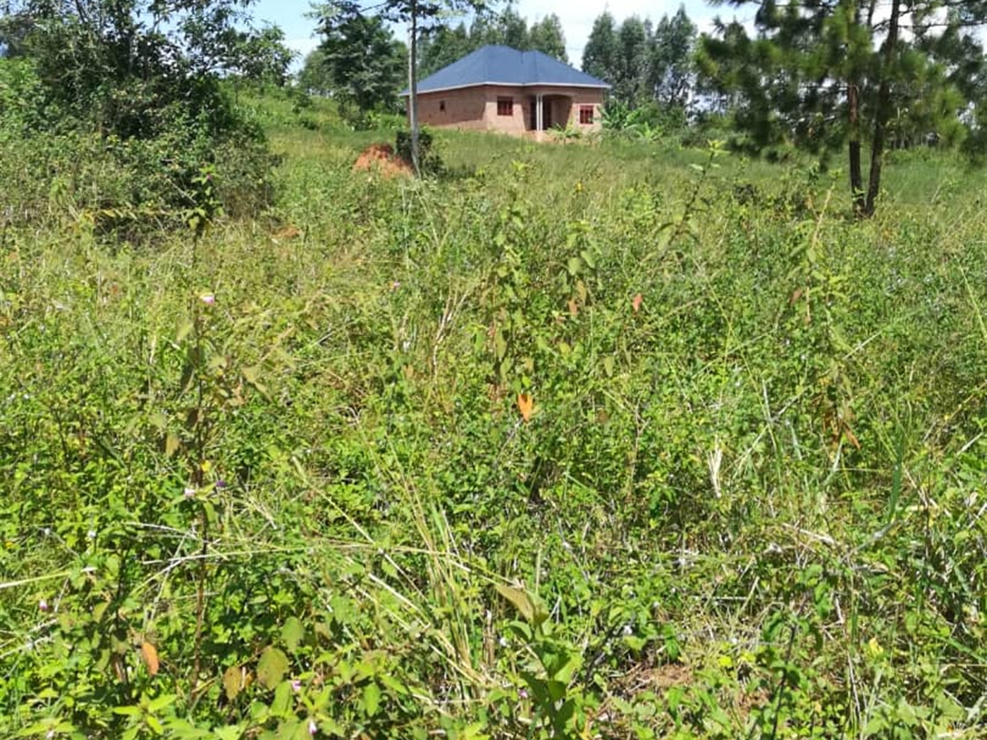 Residential Land for sale in Namuyenje Mukono