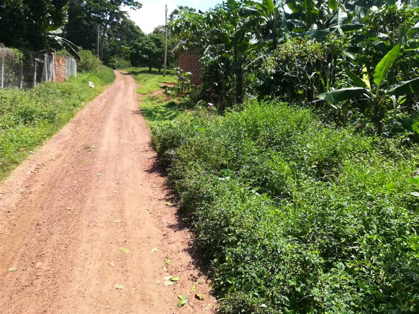 Residential Land for sale in Namuyenje Mukono