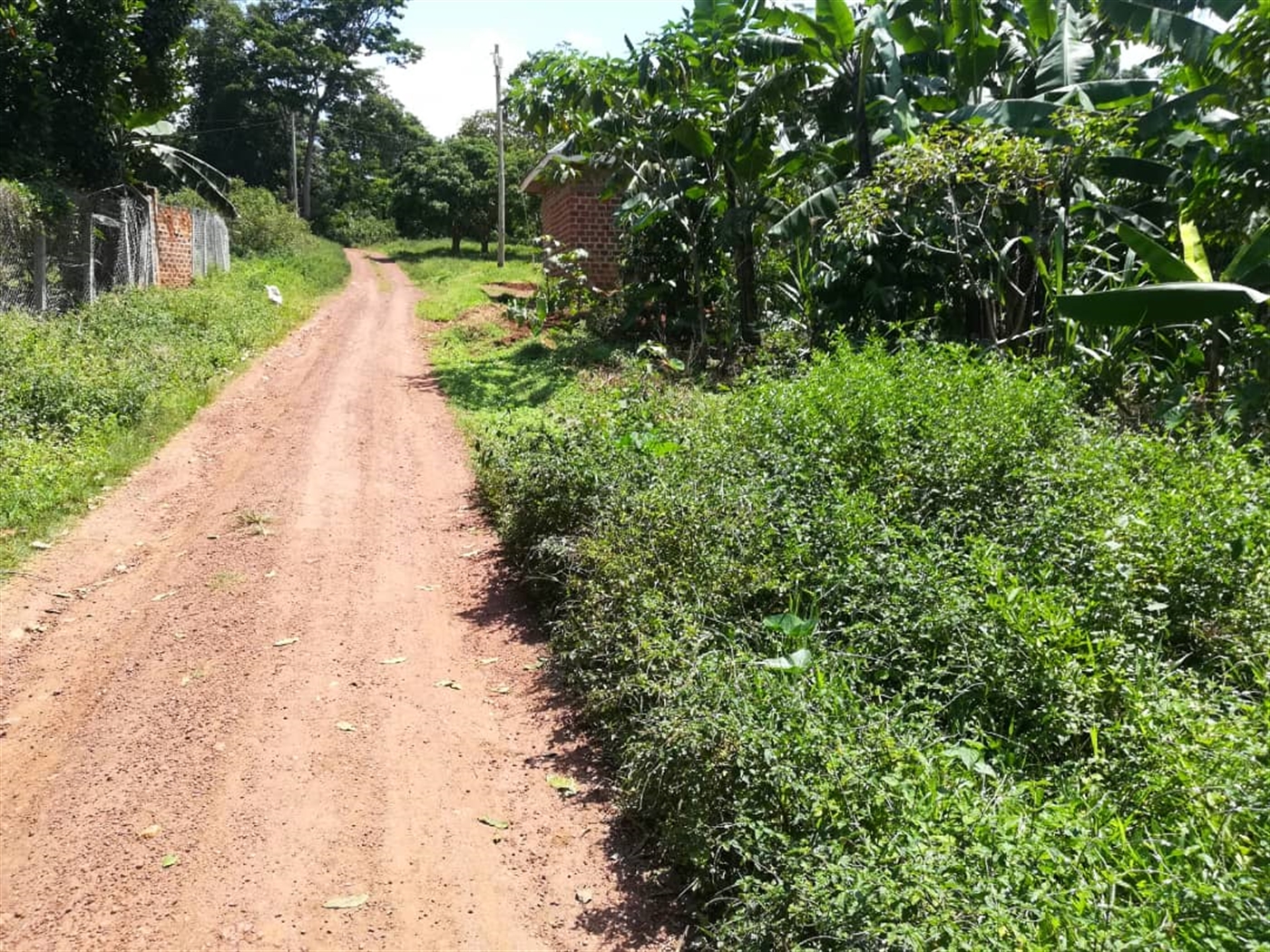 Residential Land for sale in Namuyenje Mukono