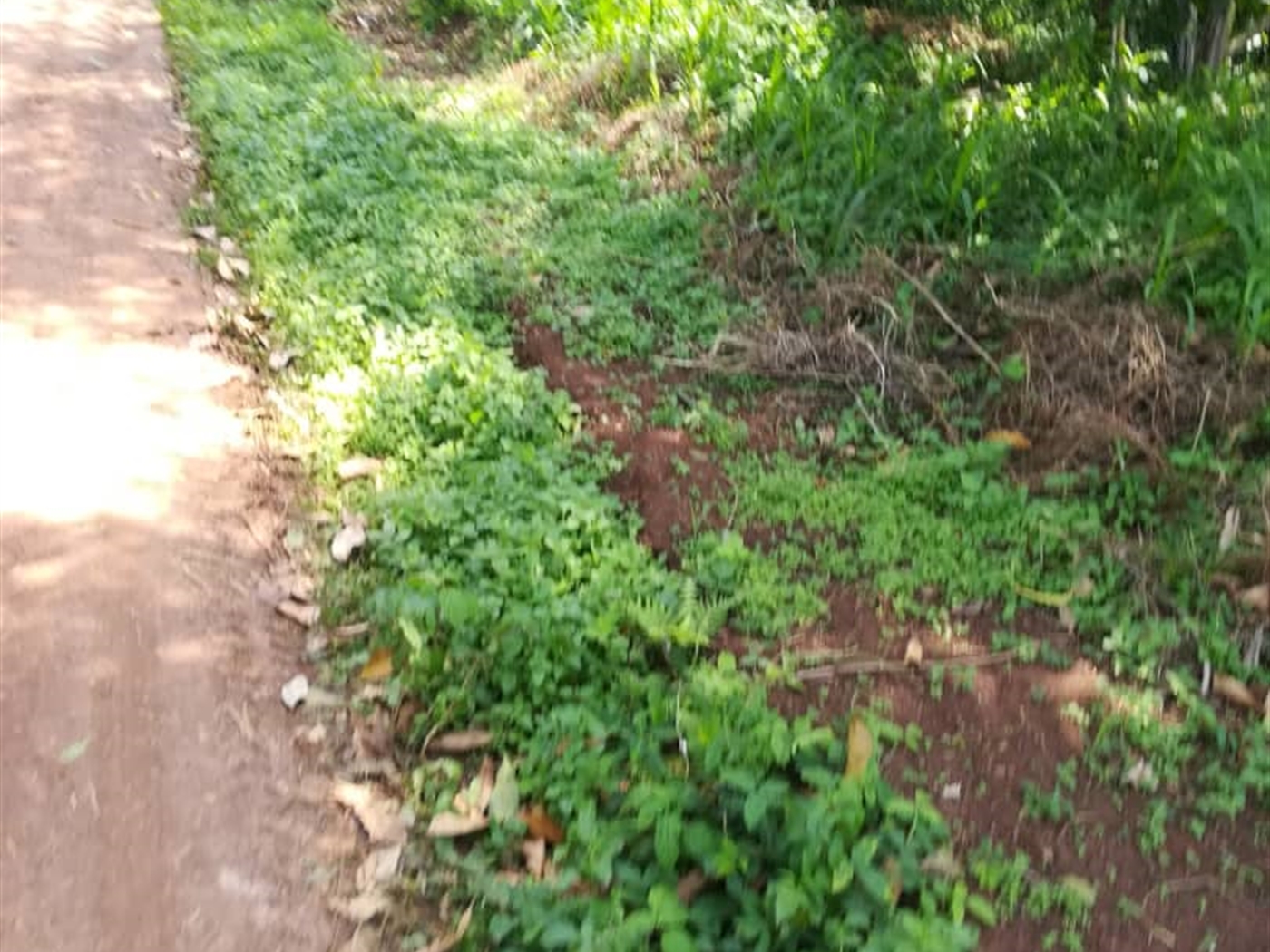 Residential Land for sale in Namuyenje Mukono