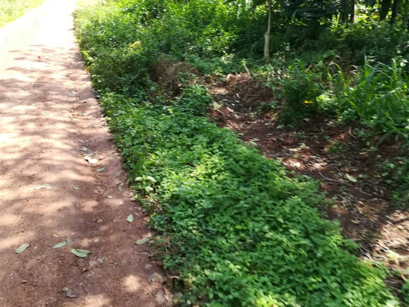 Residential Land for sale in Namuyenje Mukono