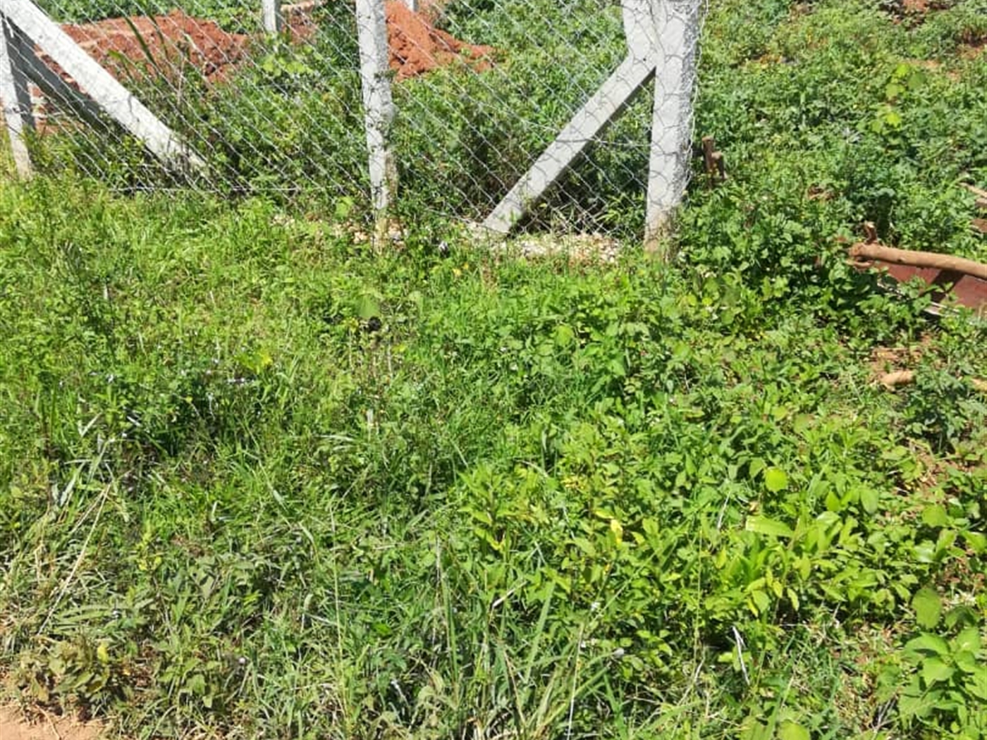 Residential Land for sale in Namuyenje Mukono