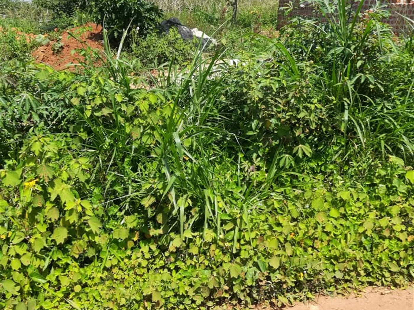 Residential Land for sale in Namuyenje Mukono