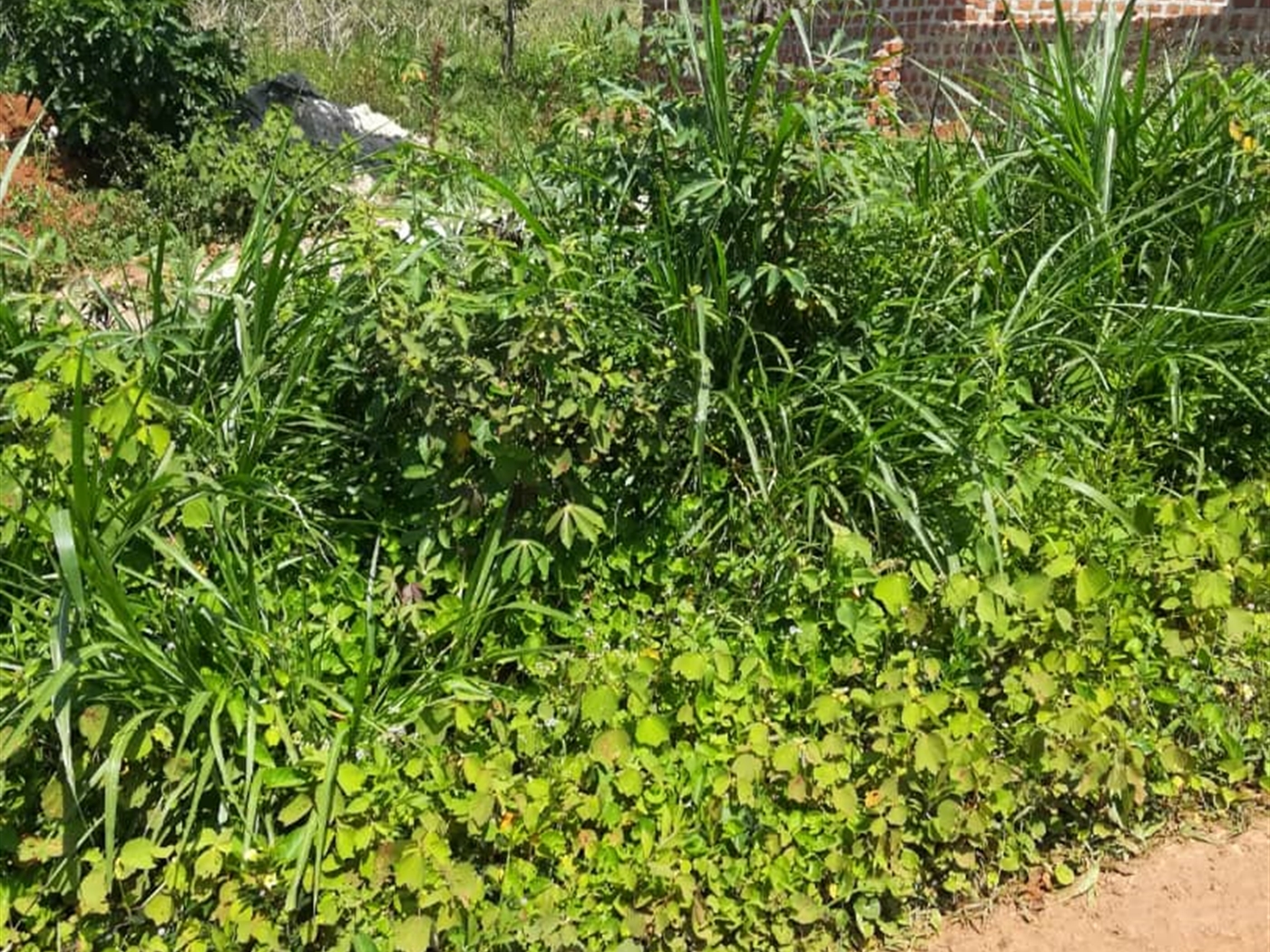 Residential Land for sale in Namuyenje Mukono