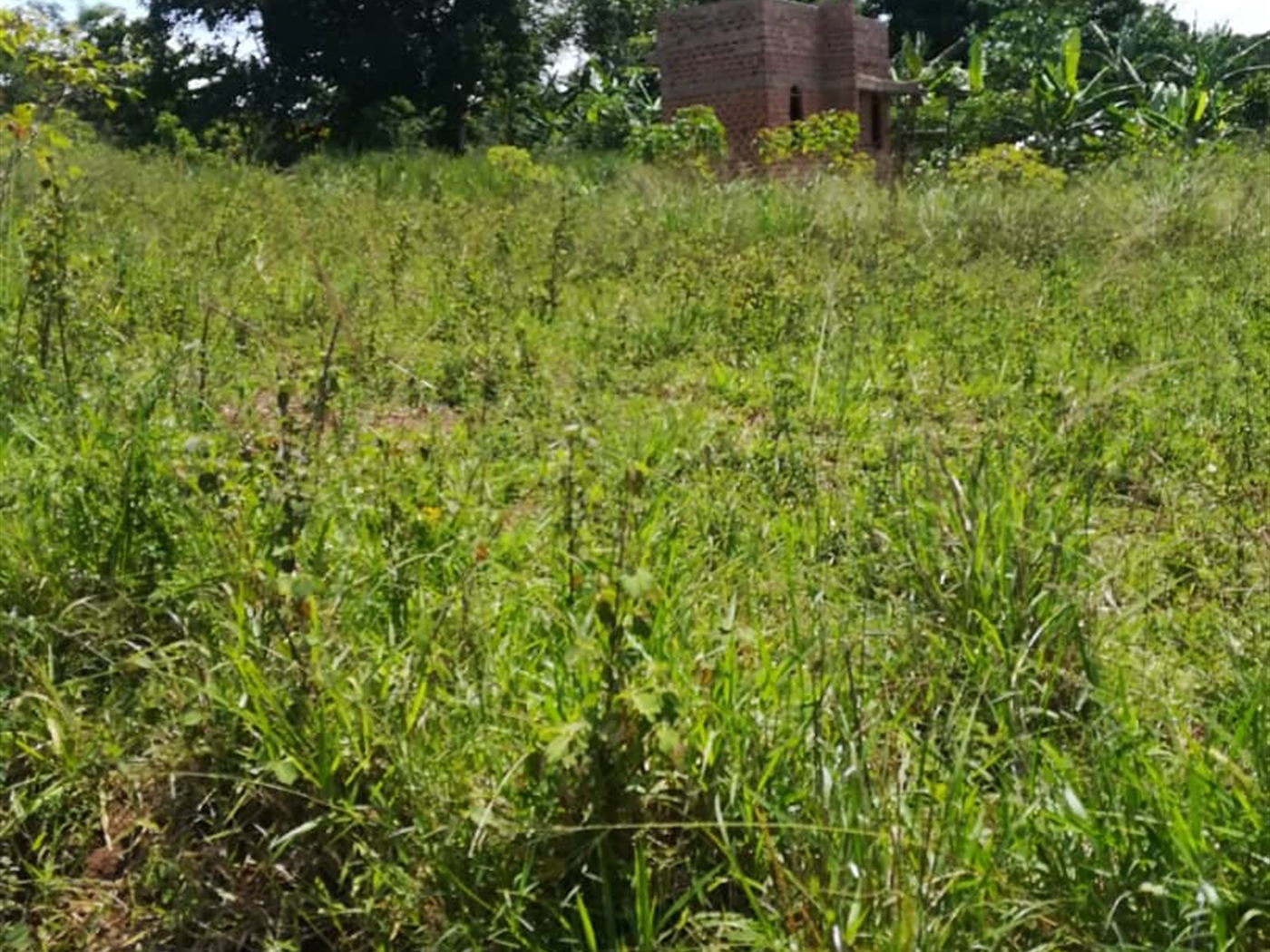 Residential Land for sale in Namuyenje Mukono