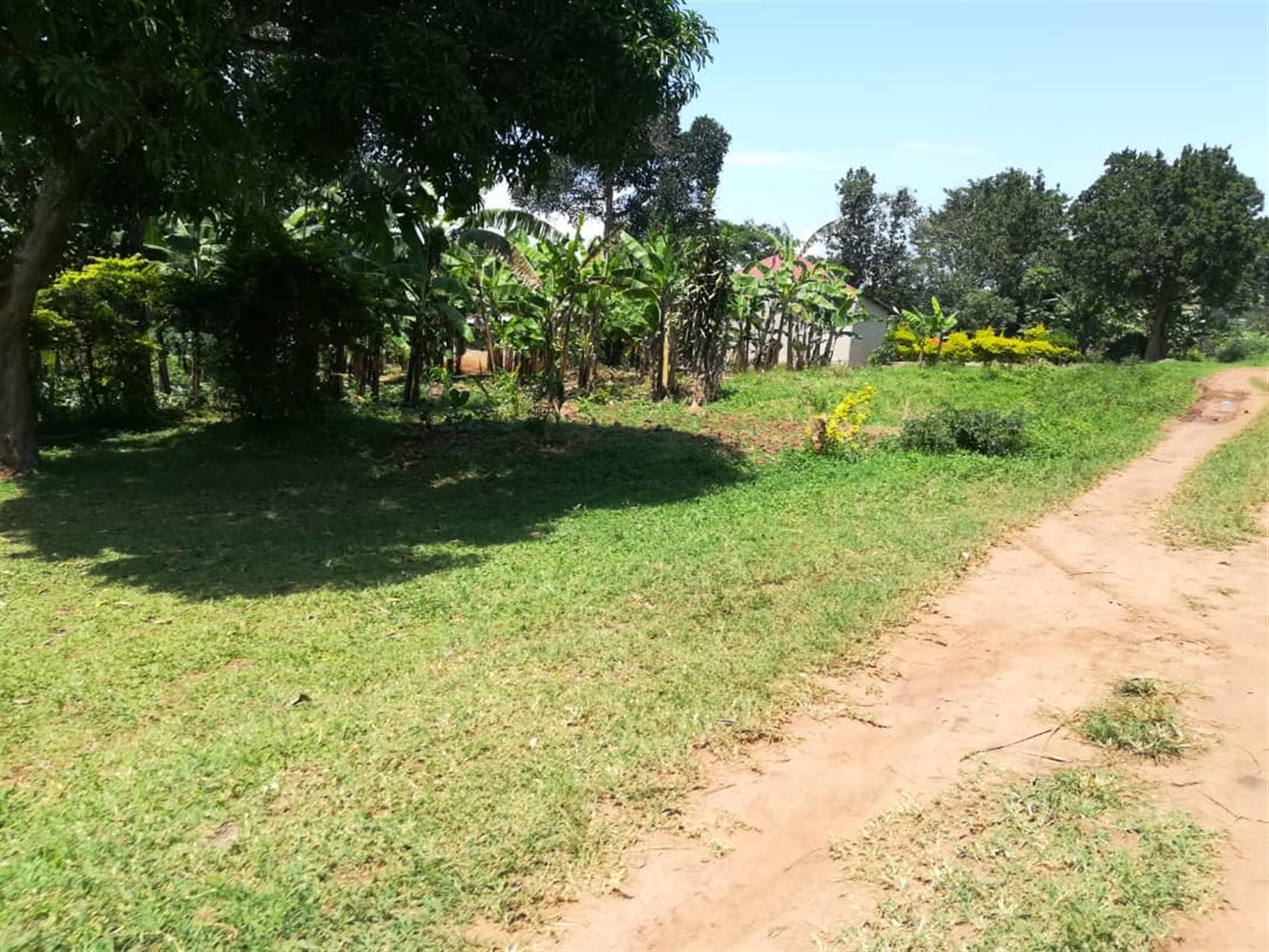 Residential Land for sale in Namuyenje Mukono