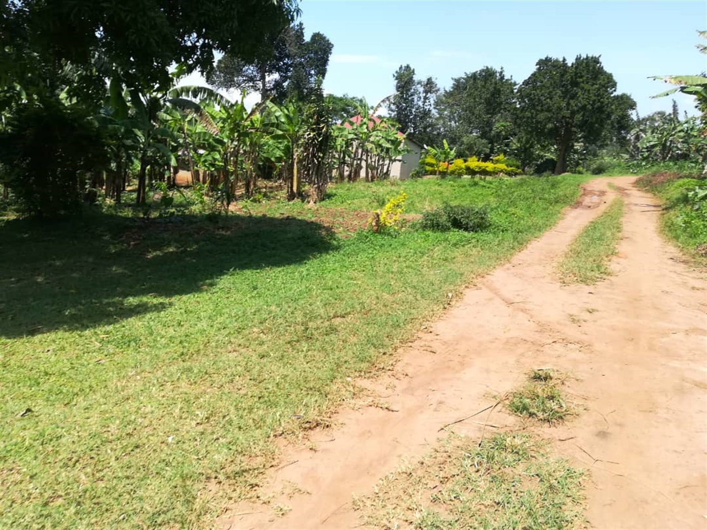 Residential Land for sale in Namuyenje Mukono