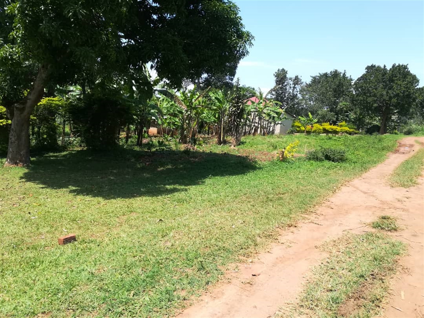 Residential Land for sale in Namuyenje Mukono