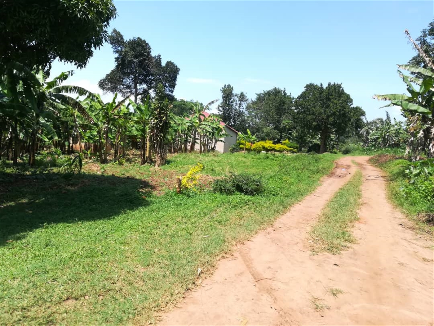 Residential Land for sale in Namuyenje Mukono