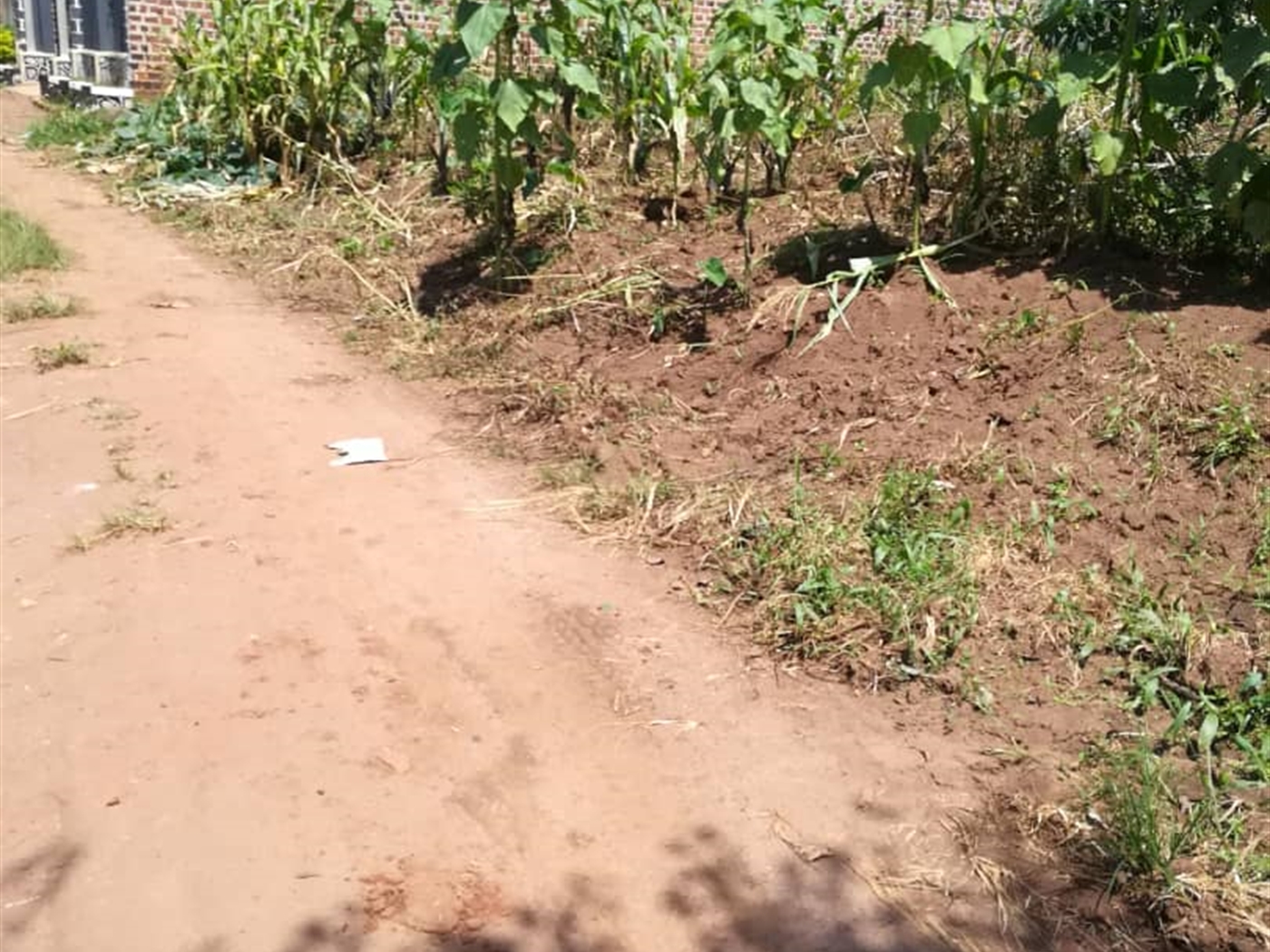 Residential Land for sale in Namuyenje Mukono