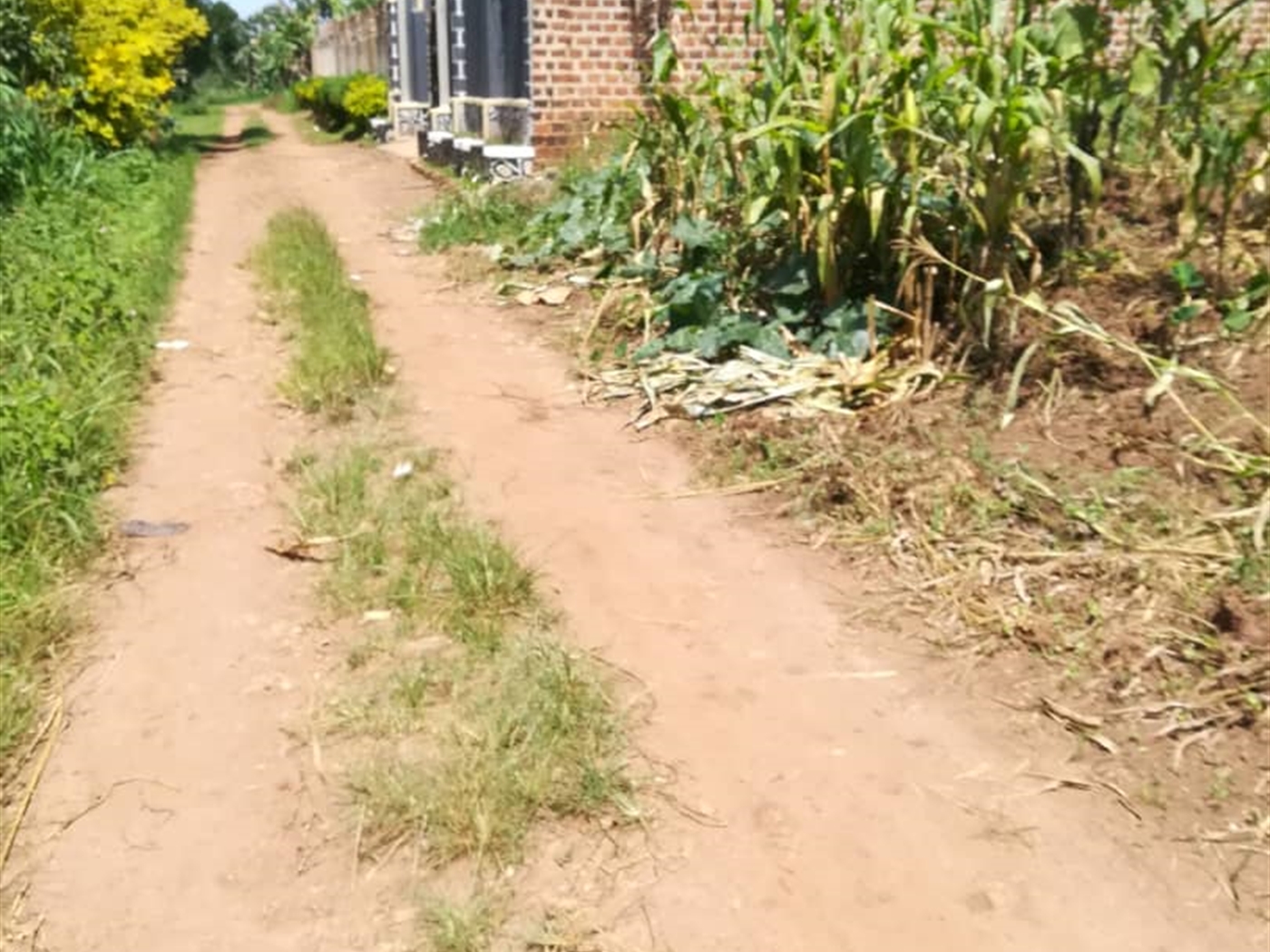 Residential Land for sale in Namuyenje Mukono