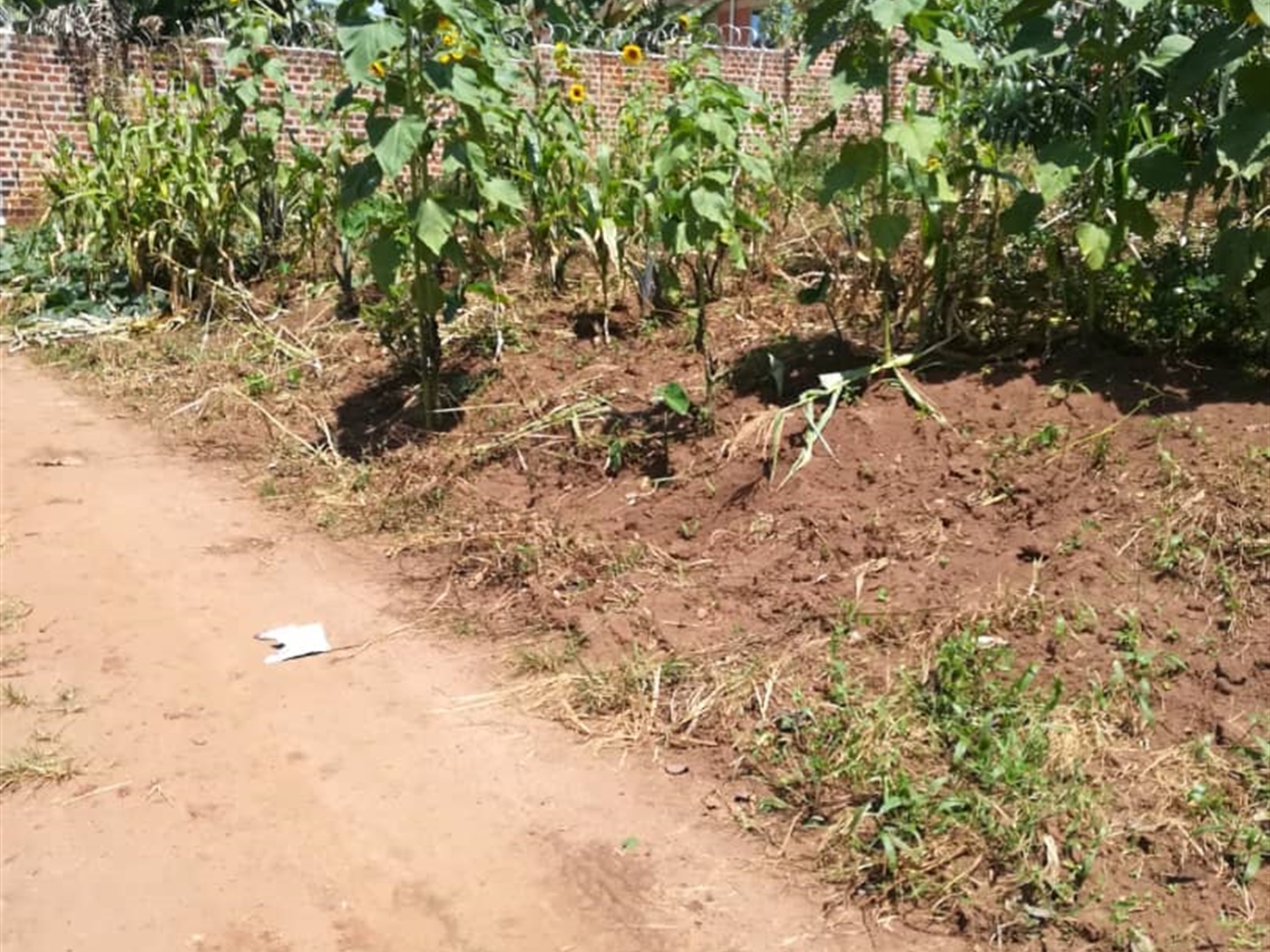 Residential Land for sale in Namuyenje Mukono