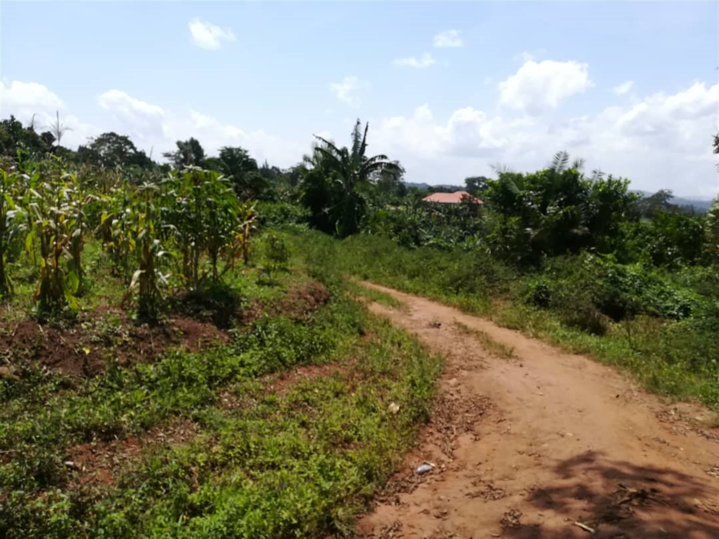 Residential Land for sale in Namuyenje Mukono