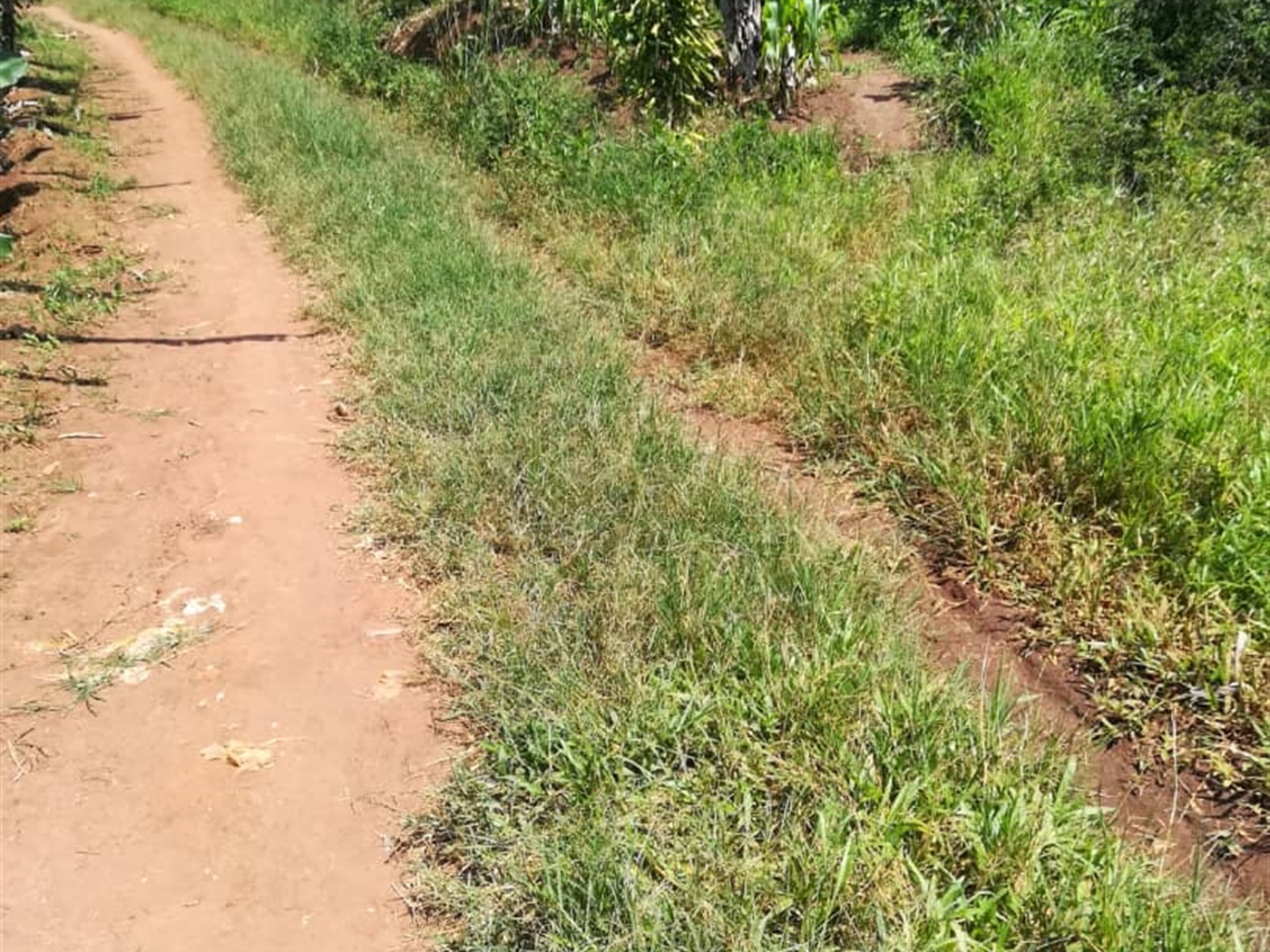 Residential Land for sale in Namuyenje Mukono