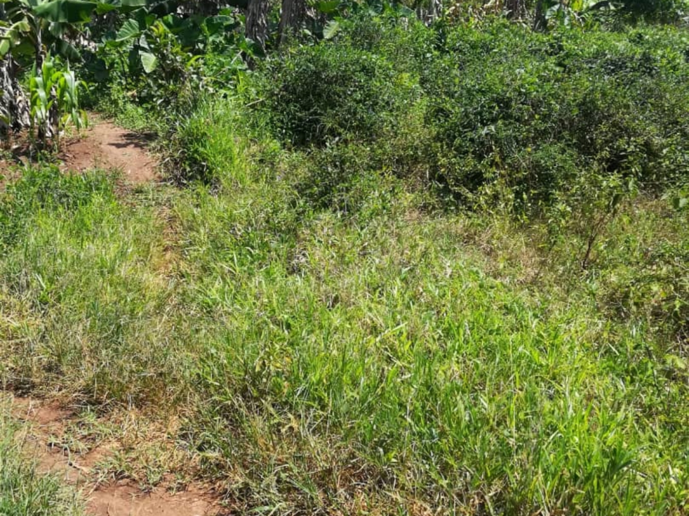 Residential Land for sale in Namuyenje Mukono