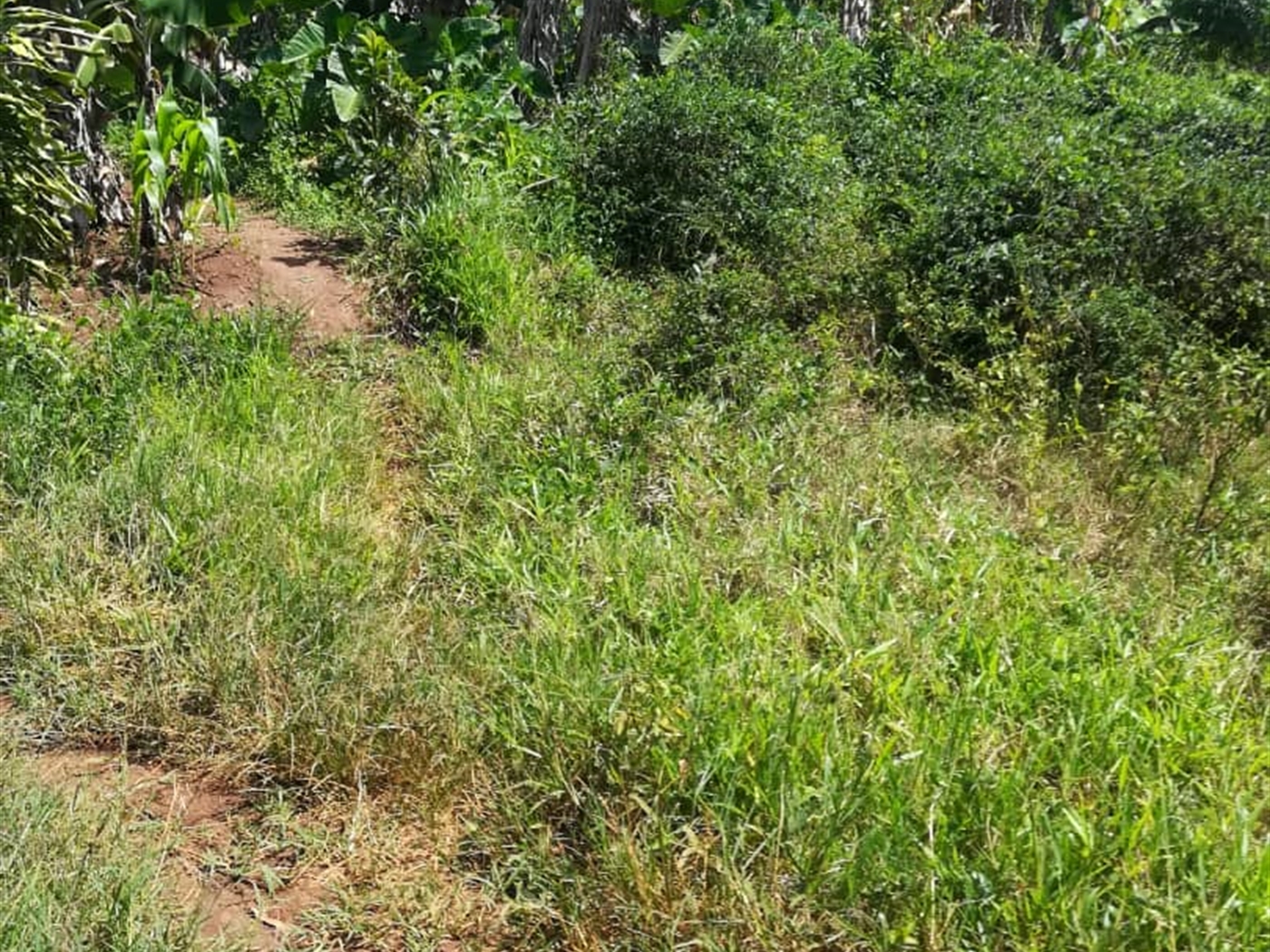 Residential Land for sale in Namuyenje Mukono