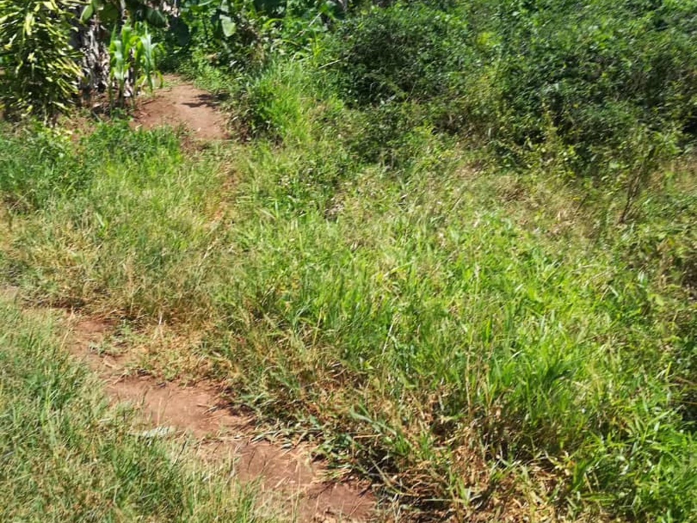 Residential Land for sale in Namuyenje Mukono