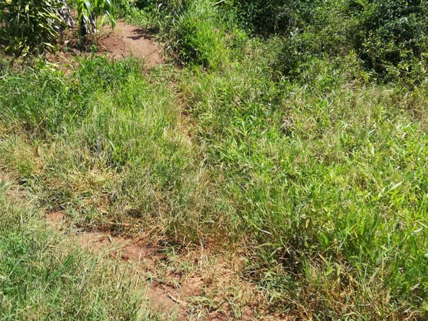 Residential Land for sale in Namuyenje Mukono