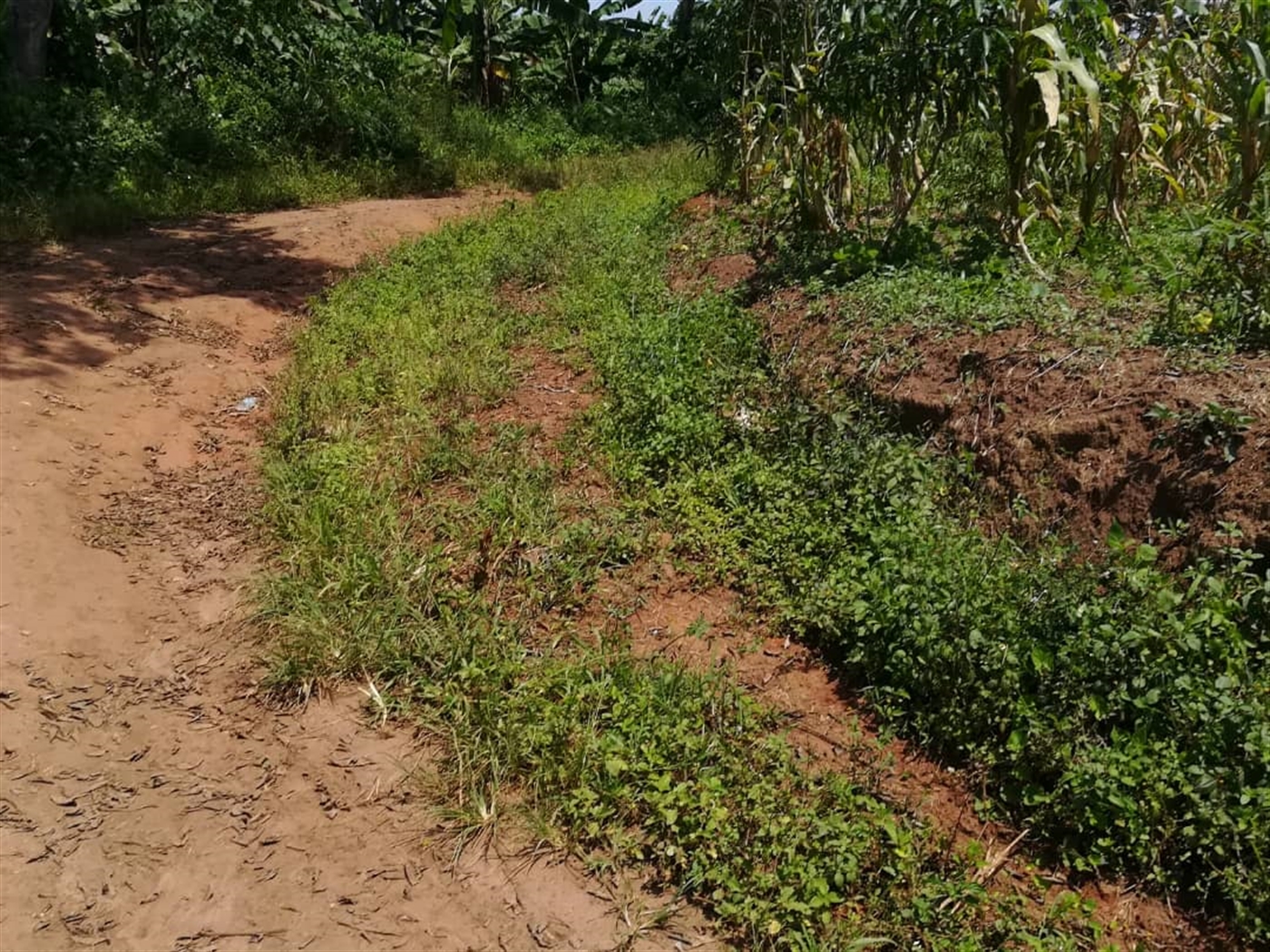 Residential Land for sale in Namuyenje Mukono