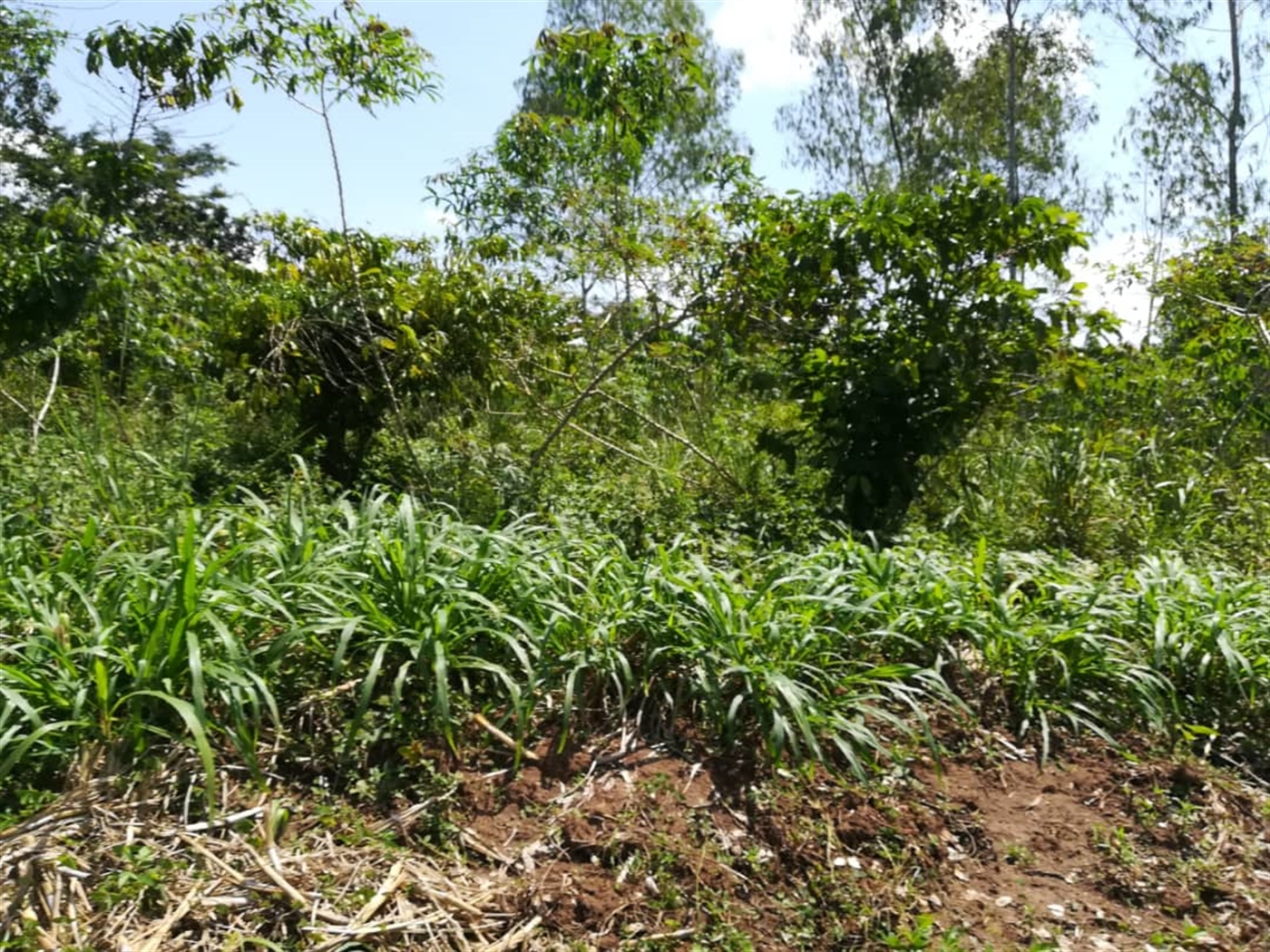 Residential Land for sale in Namuyenje Mukono