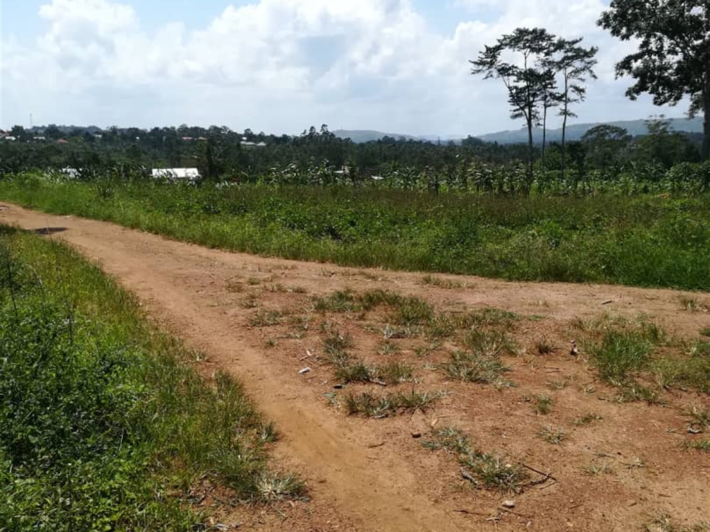 Residential Land for sale in Namuyenje Mukono