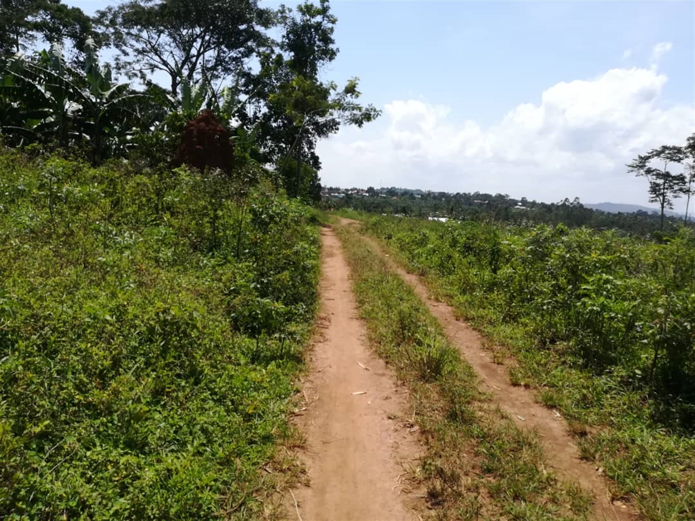 Residential Land for sale in Namuyenje Mukono