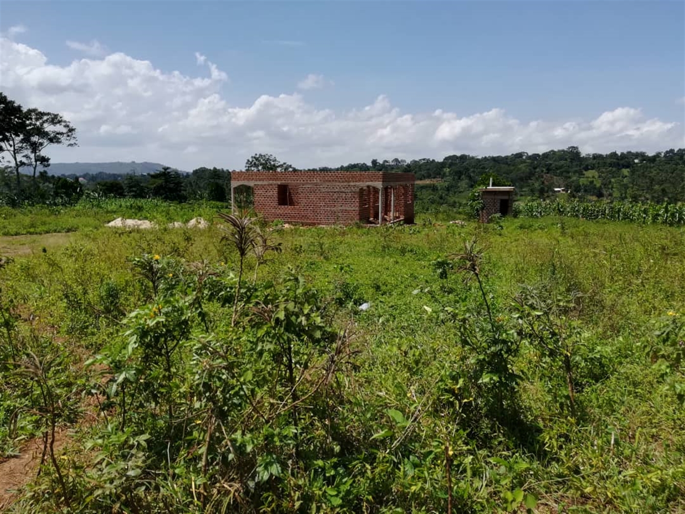 Residential Land for sale in Namuyenje Mukono