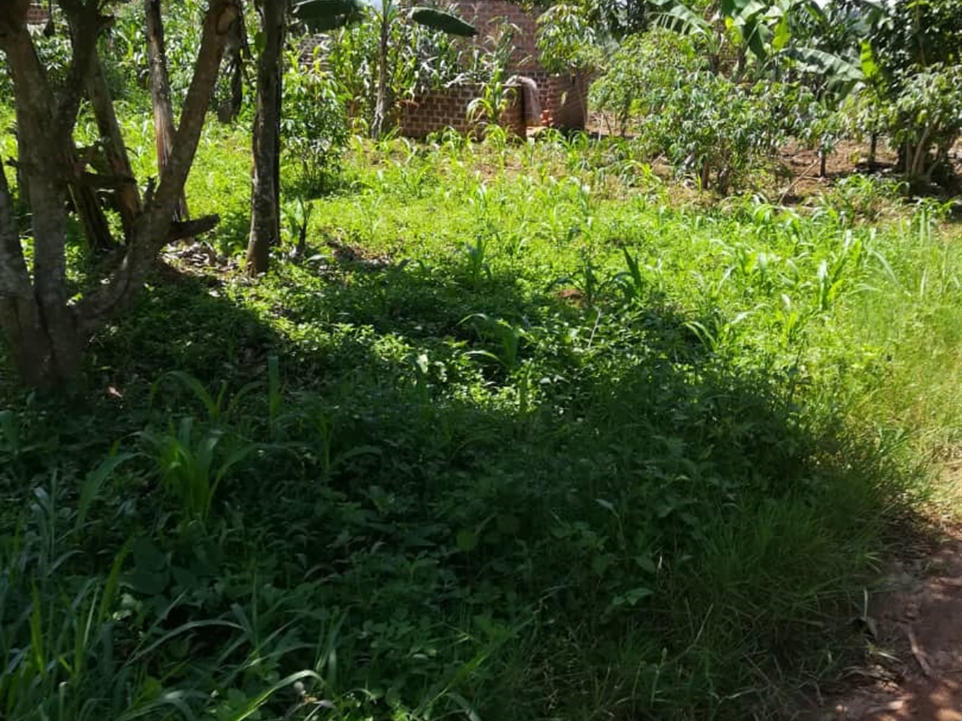 Residential Land for sale in Namuyenje Mukono