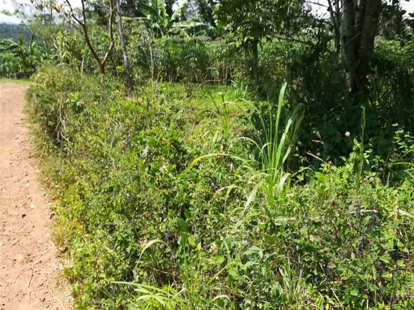 Residential Land for sale in Namuyenje Mukono