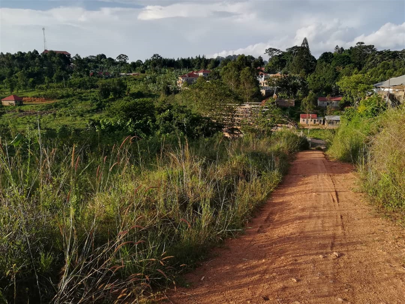 Residential Land for sale in Nakabago Mukono