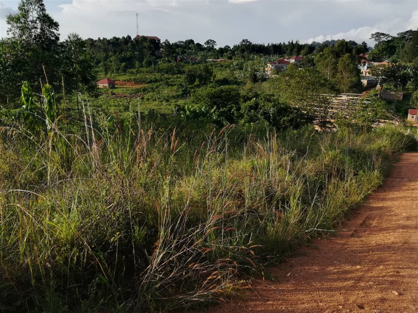 Residential Land for sale in Nakabago Mukono