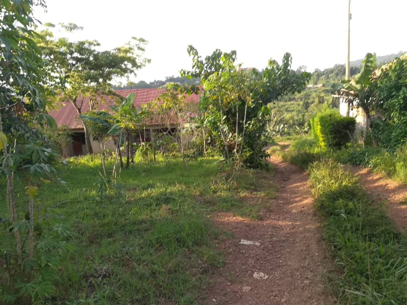 Residential Land for sale in Nakabago Mukono