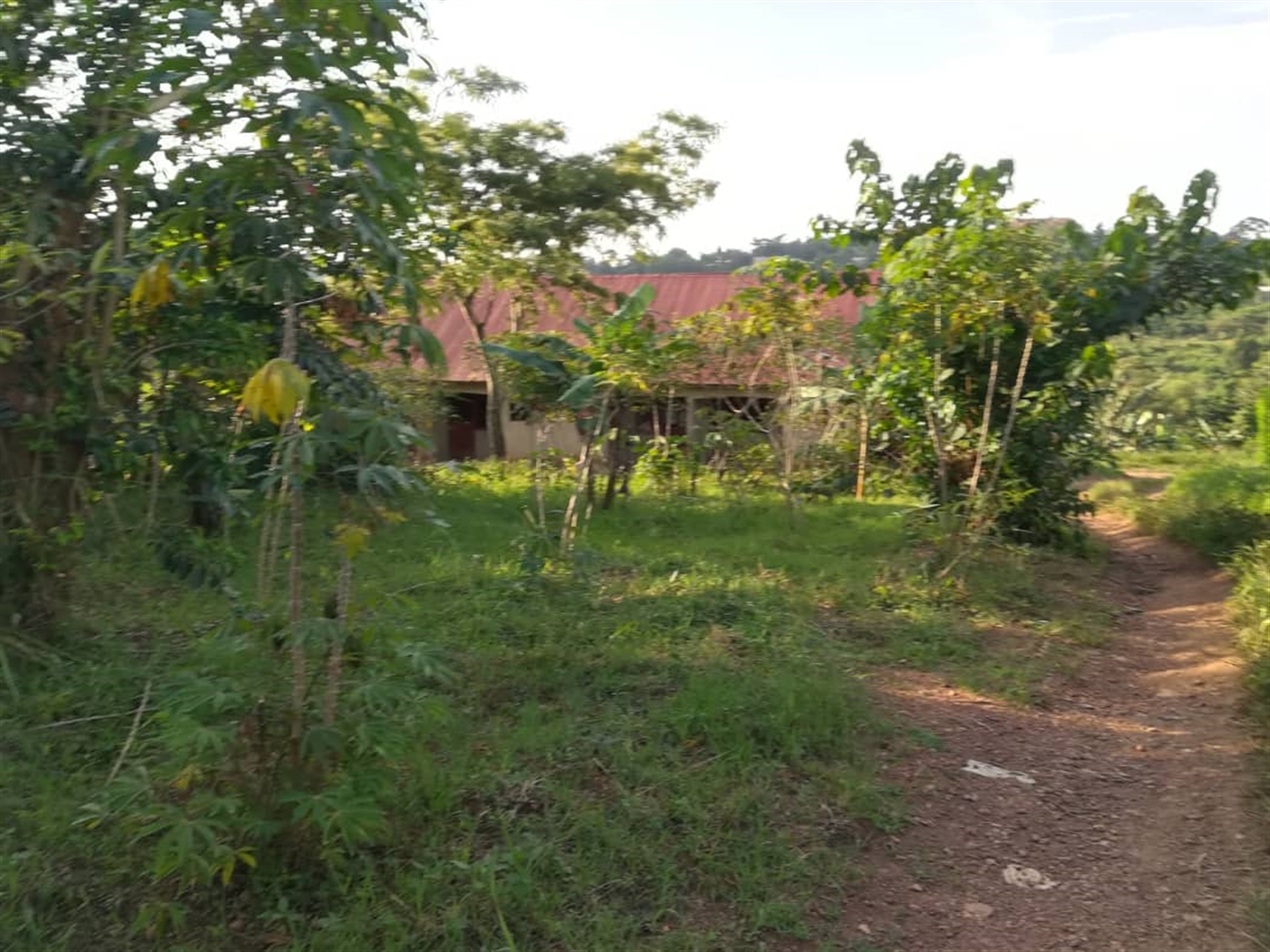 Residential Land for sale in Nakabago Mukono