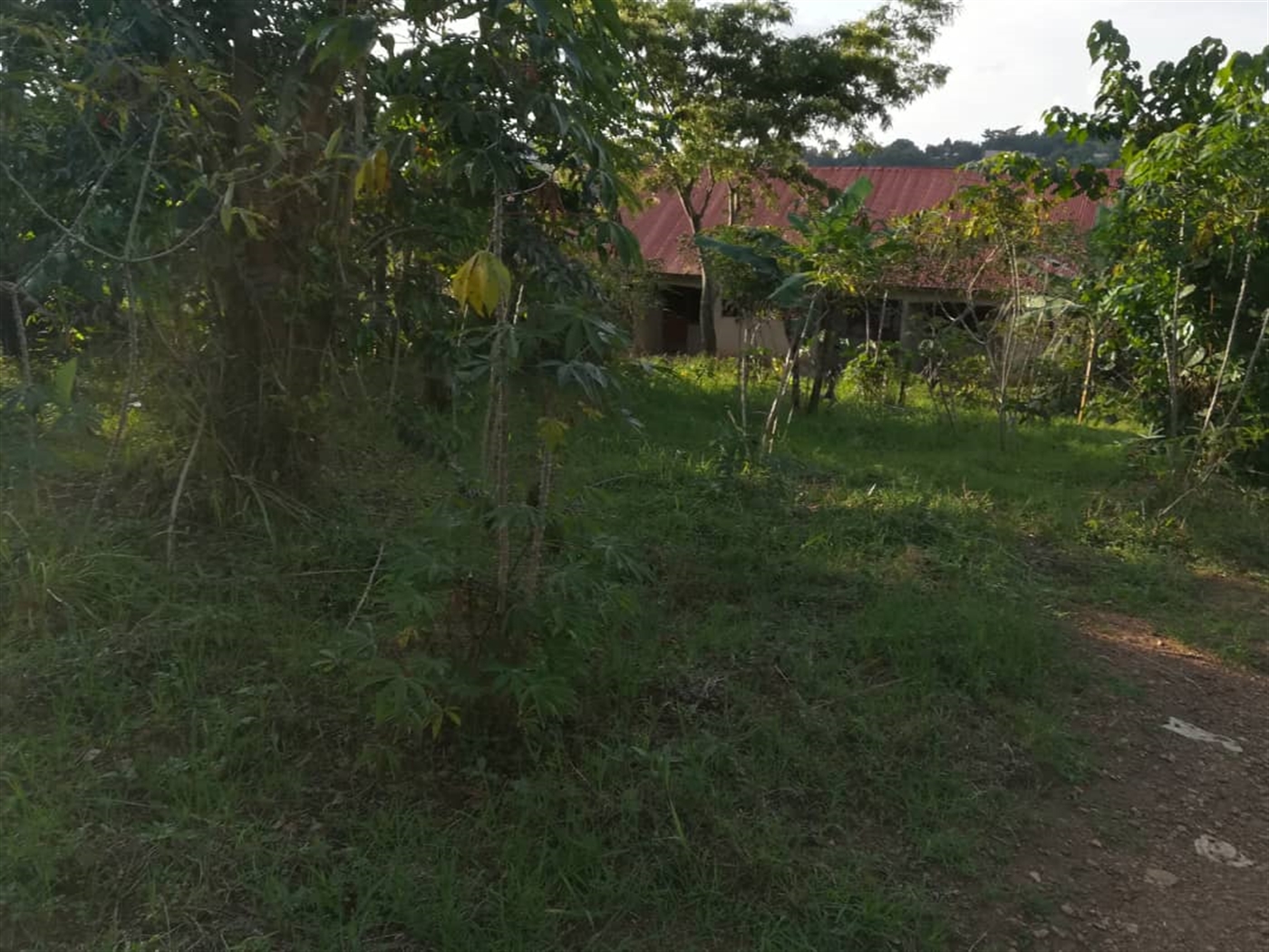 Residential Land for sale in Nakabago Mukono