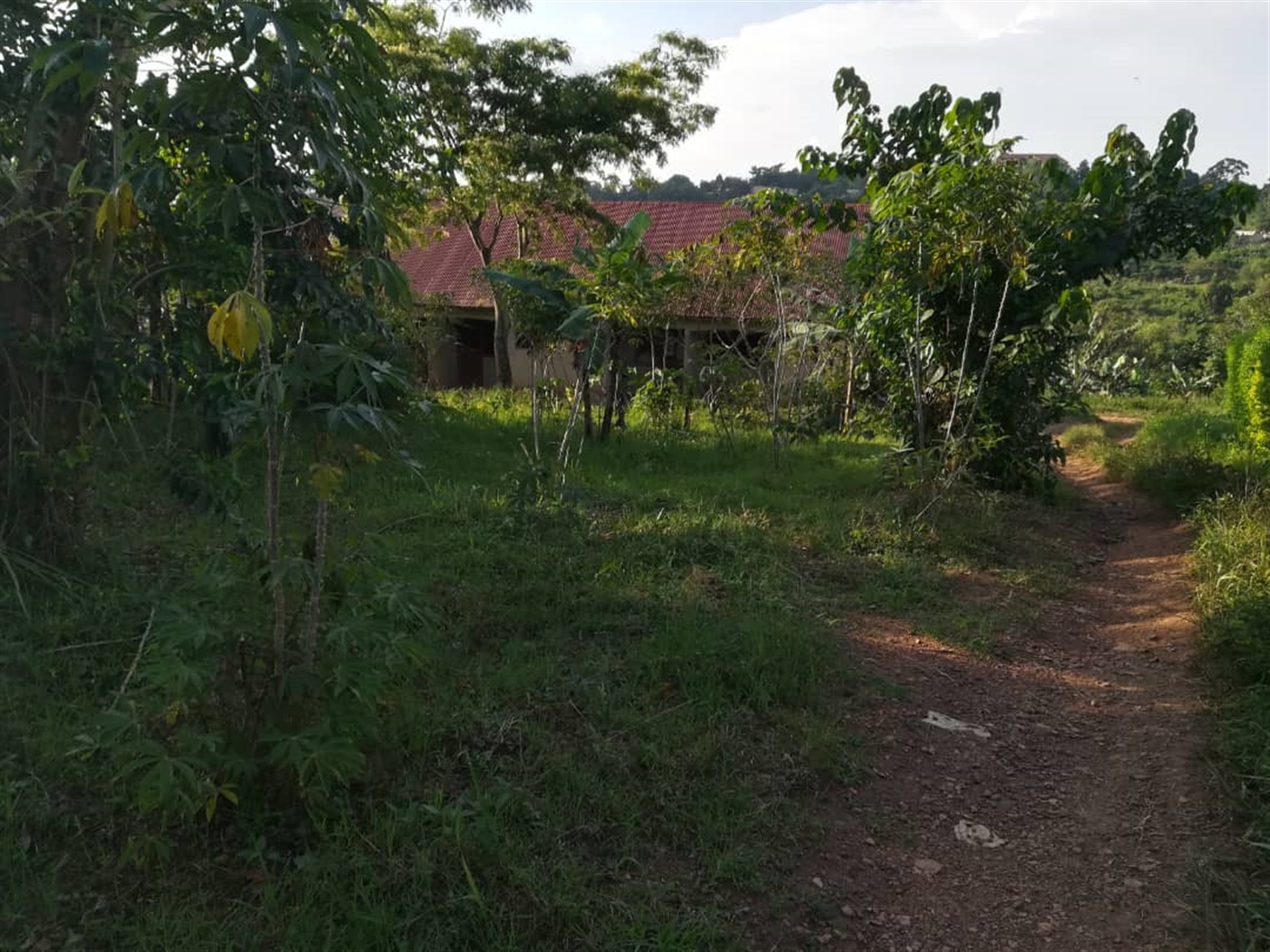 Residential Land for sale in Nakabago Mukono