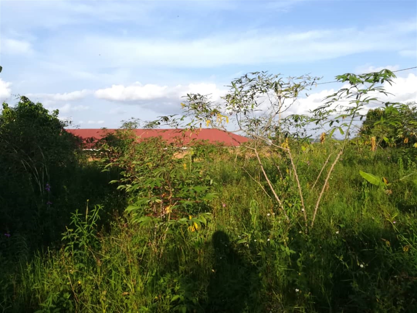 Residential Land for sale in Nakabago Mukono