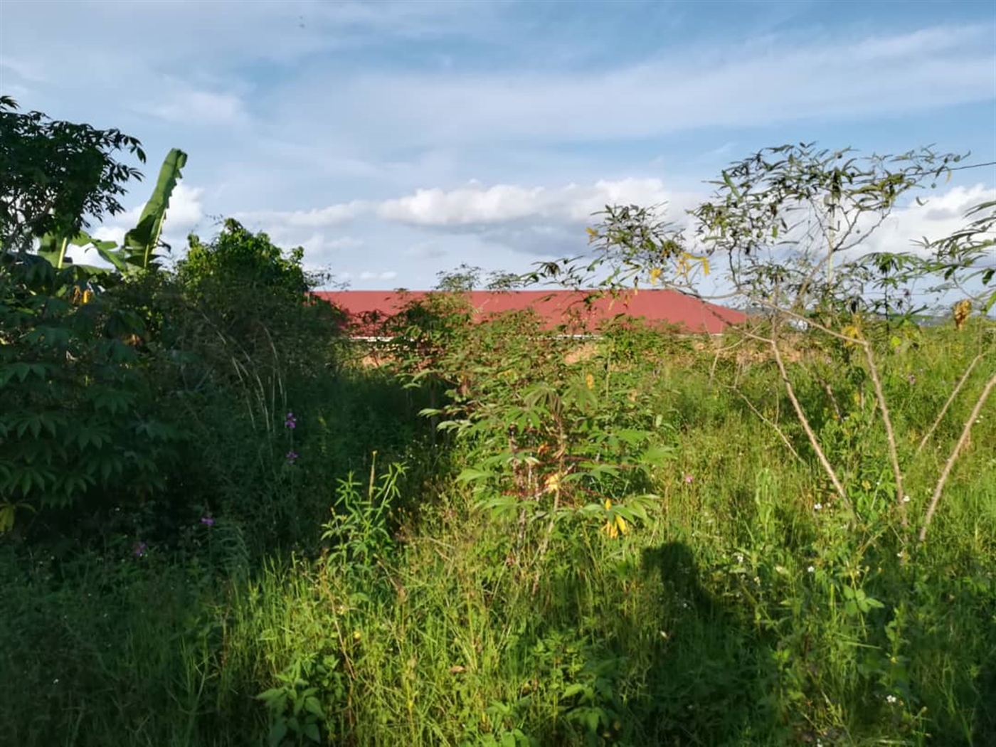 Residential Land for sale in Nakabago Mukono