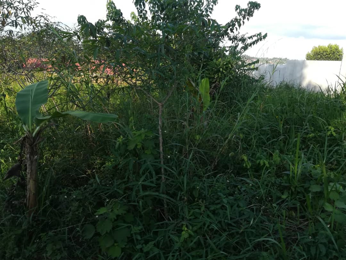 Residential Land for sale in Nakabago Mukono