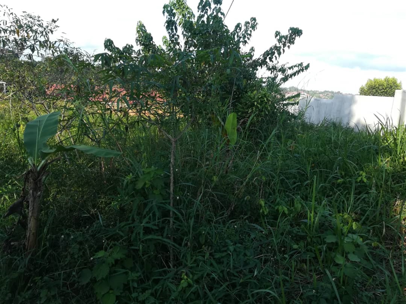 Residential Land for sale in Nakabago Mukono