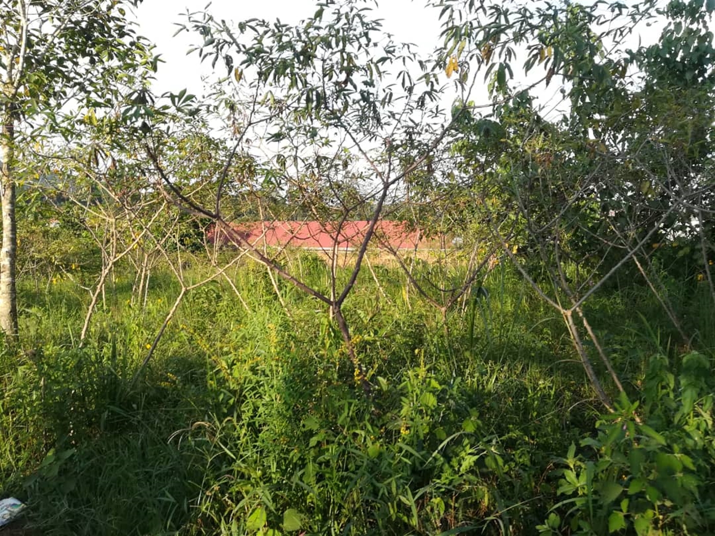 Residential Land for sale in Nakabago Mukono