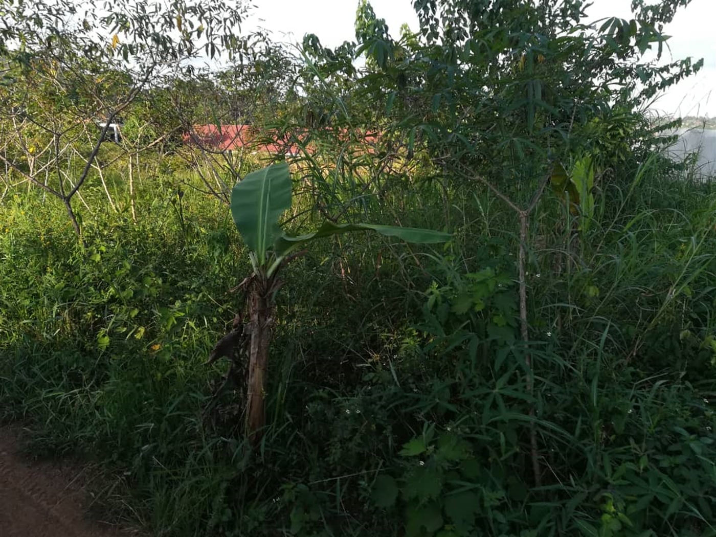 Residential Land for sale in Nakabago Mukono