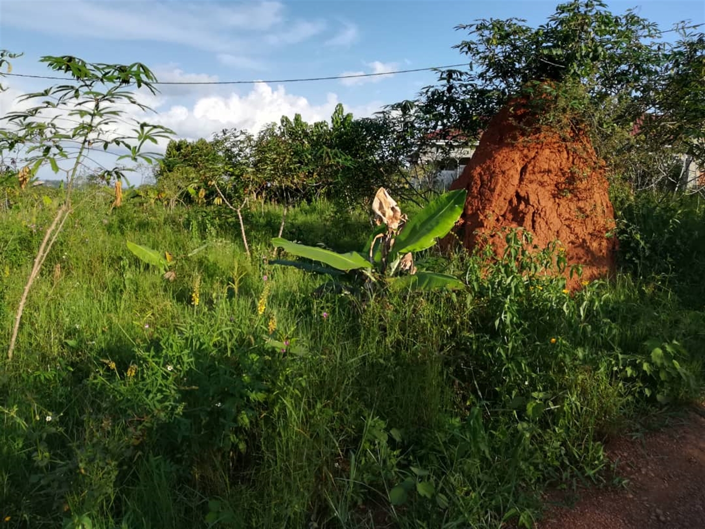 Residential Land for sale in Nakabago Mukono