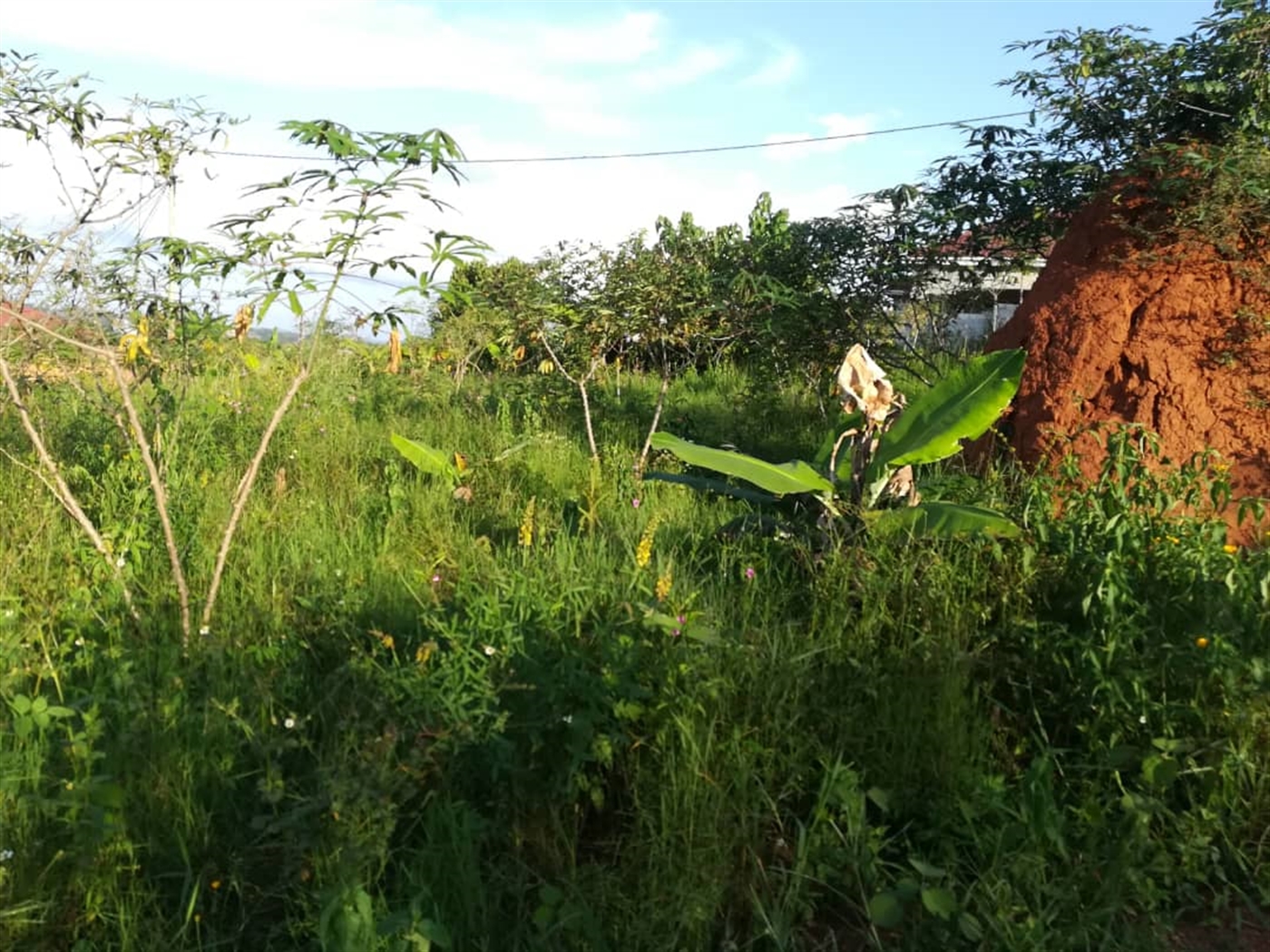 Residential Land for sale in Nakabago Mukono