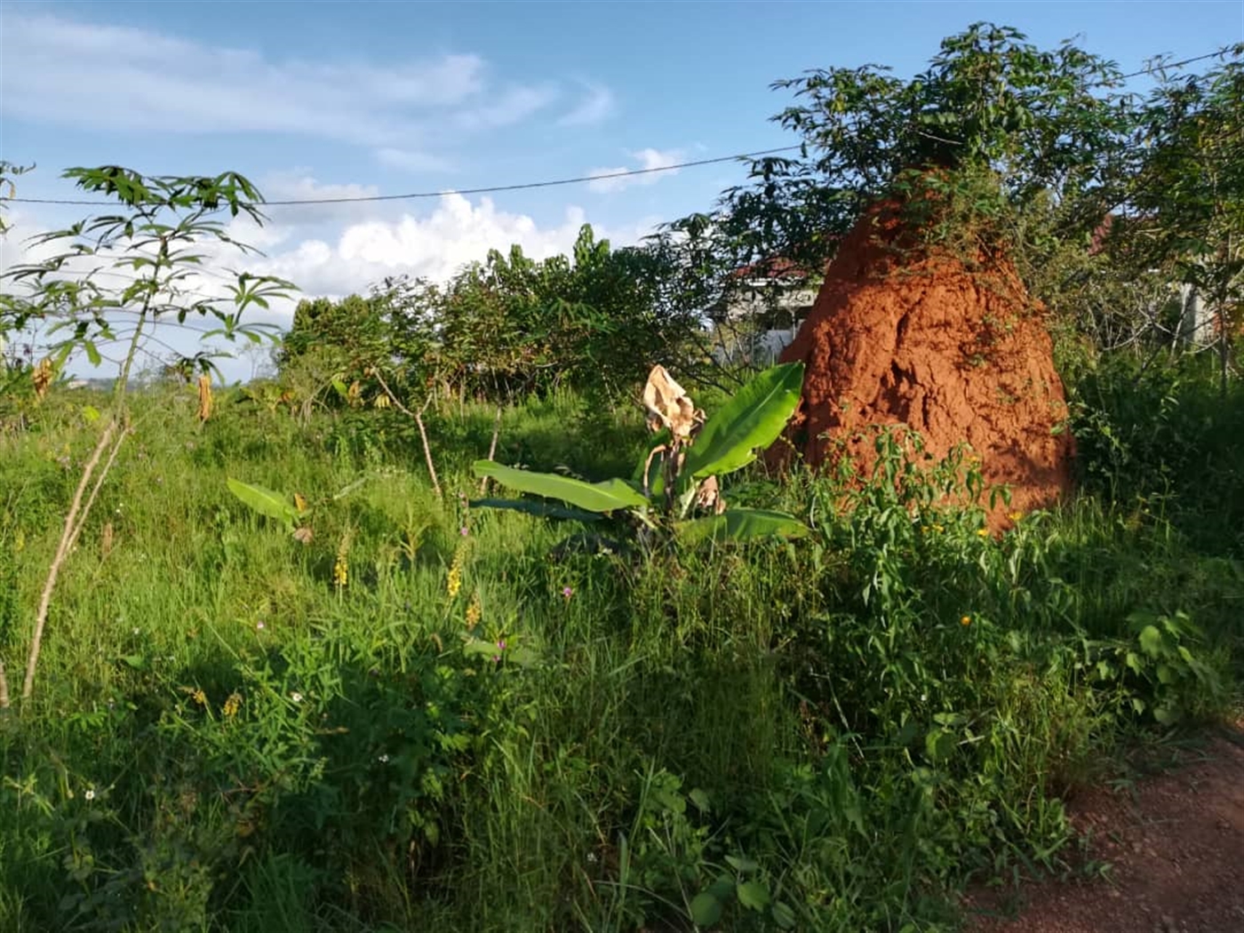 Residential Land for sale in Nakabago Mukono