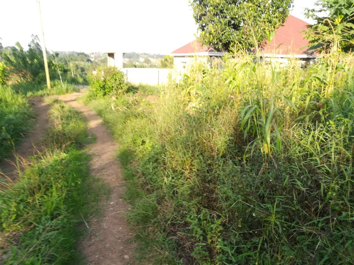 Residential Land for sale in Nakabago Mukono