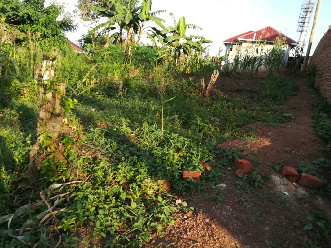 Residential Land for sale in Nakabago Mukono