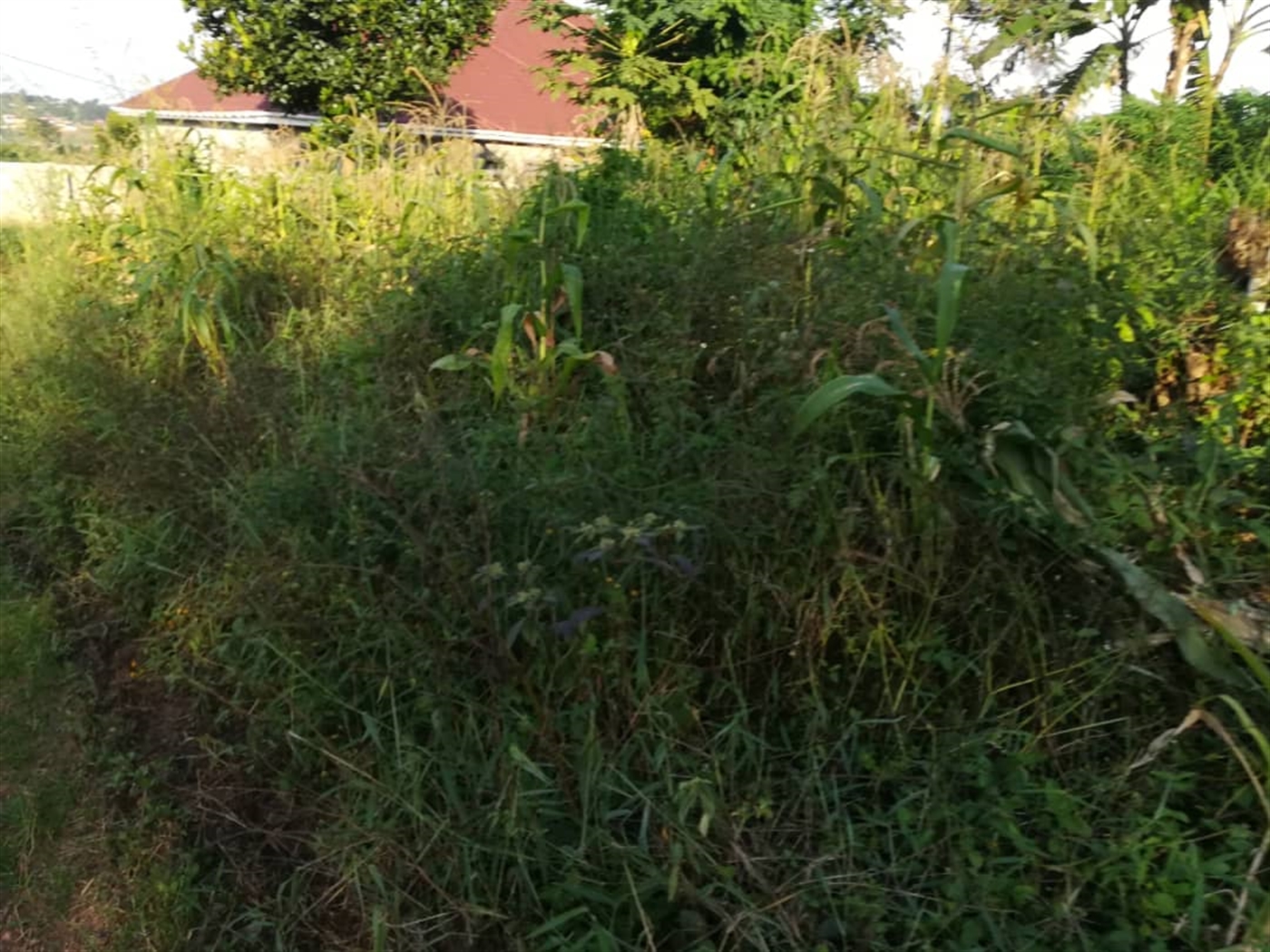 Residential Land for sale in Nakabago Mukono