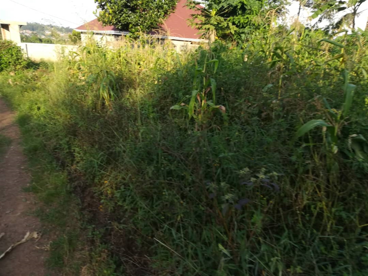 Residential Land for sale in Nakabago Mukono