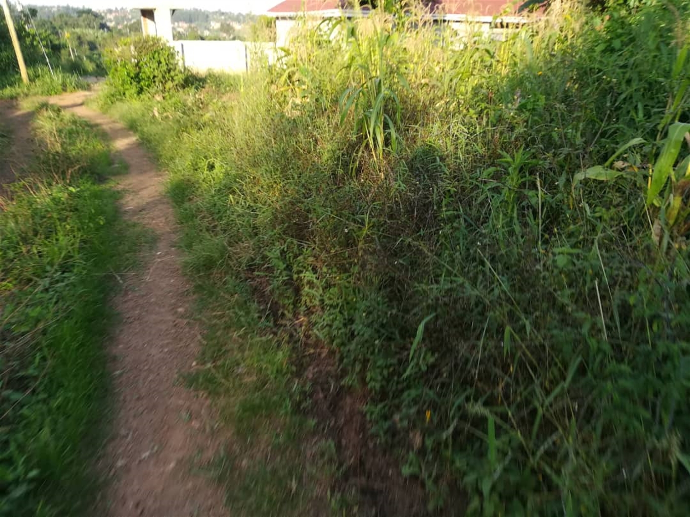 Residential Land for sale in Nakabago Mukono