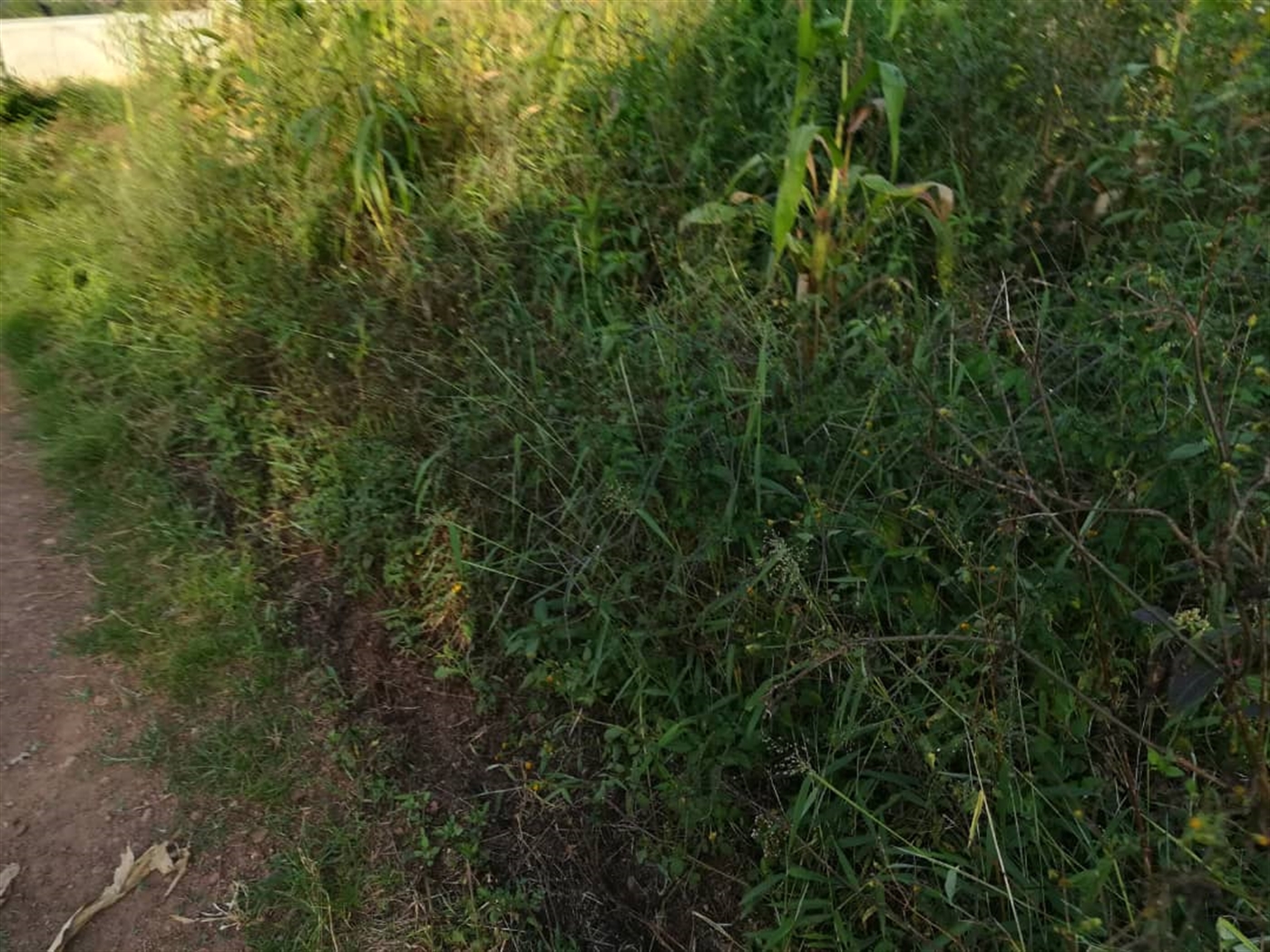 Residential Land for sale in Nakabago Mukono